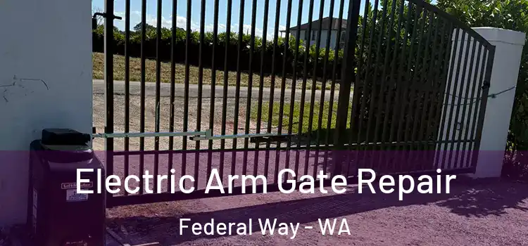 Electric Arm Gate Repair Federal Way - WA