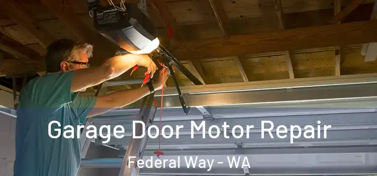  Garage Door Motor Repair Federal Way - WA