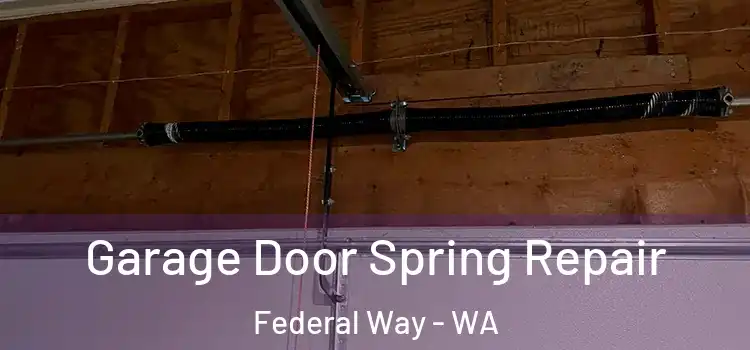  Garage Door Spring Repair Federal Way - WA