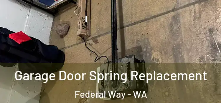  Garage Door Spring Replacement Federal Way - WA