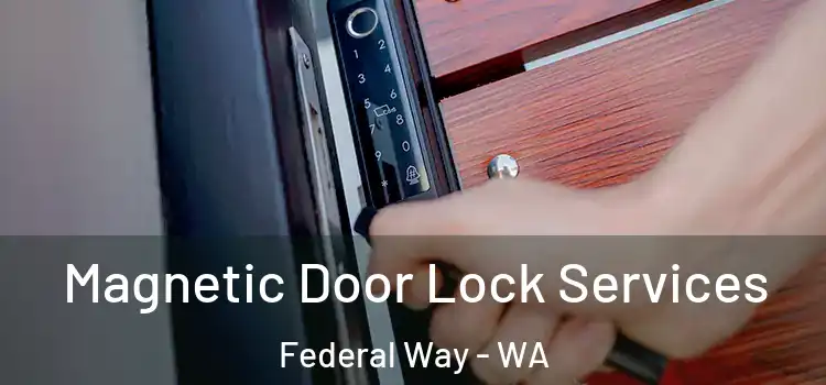  Magnetic Door Lock Services Federal Way - WA